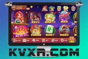 bingo online hosting 