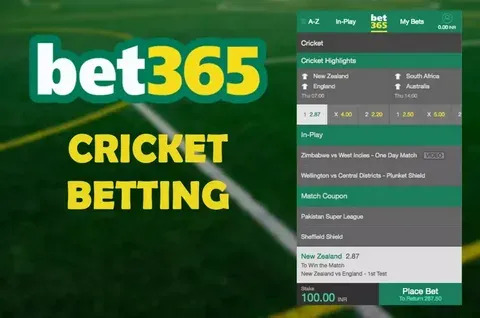 como apostar en bet 365 