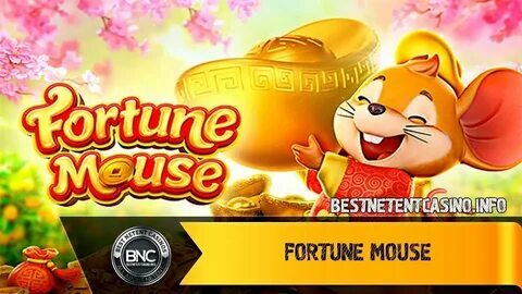 melhores jogos de cassino para iniciantes 