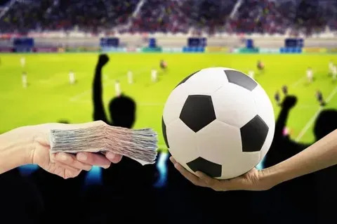 portal zacarias operação cv 