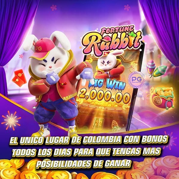 realsbet cassino ao vivo 